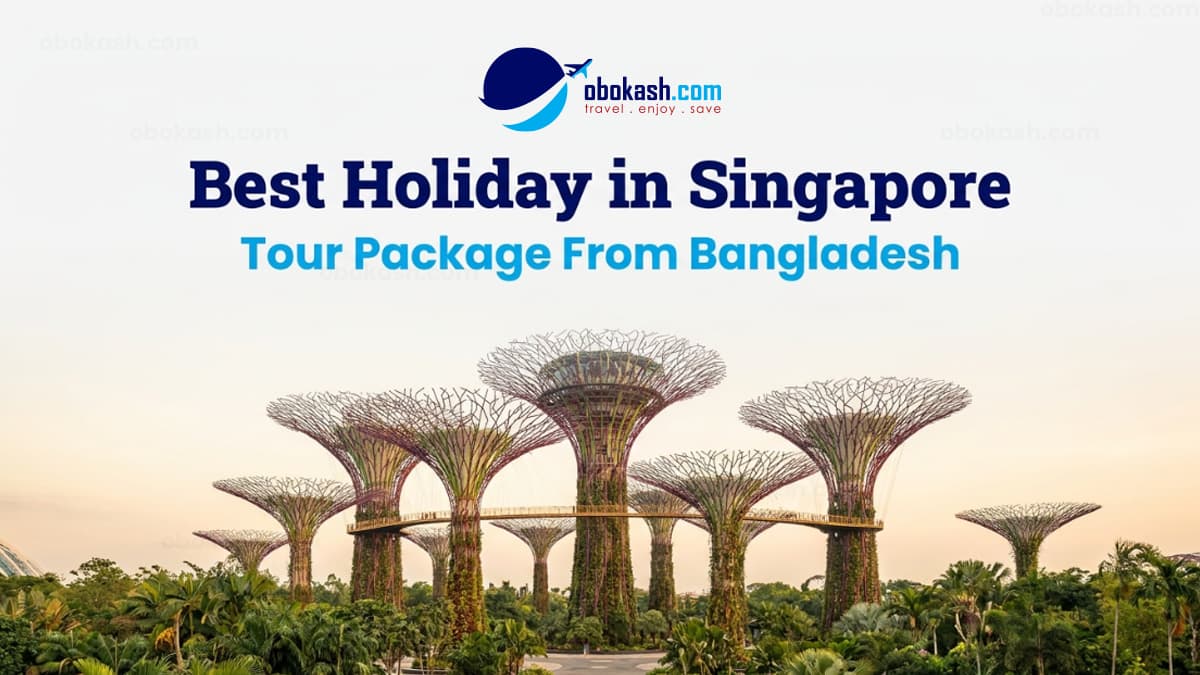 Best Singapore Tour Package