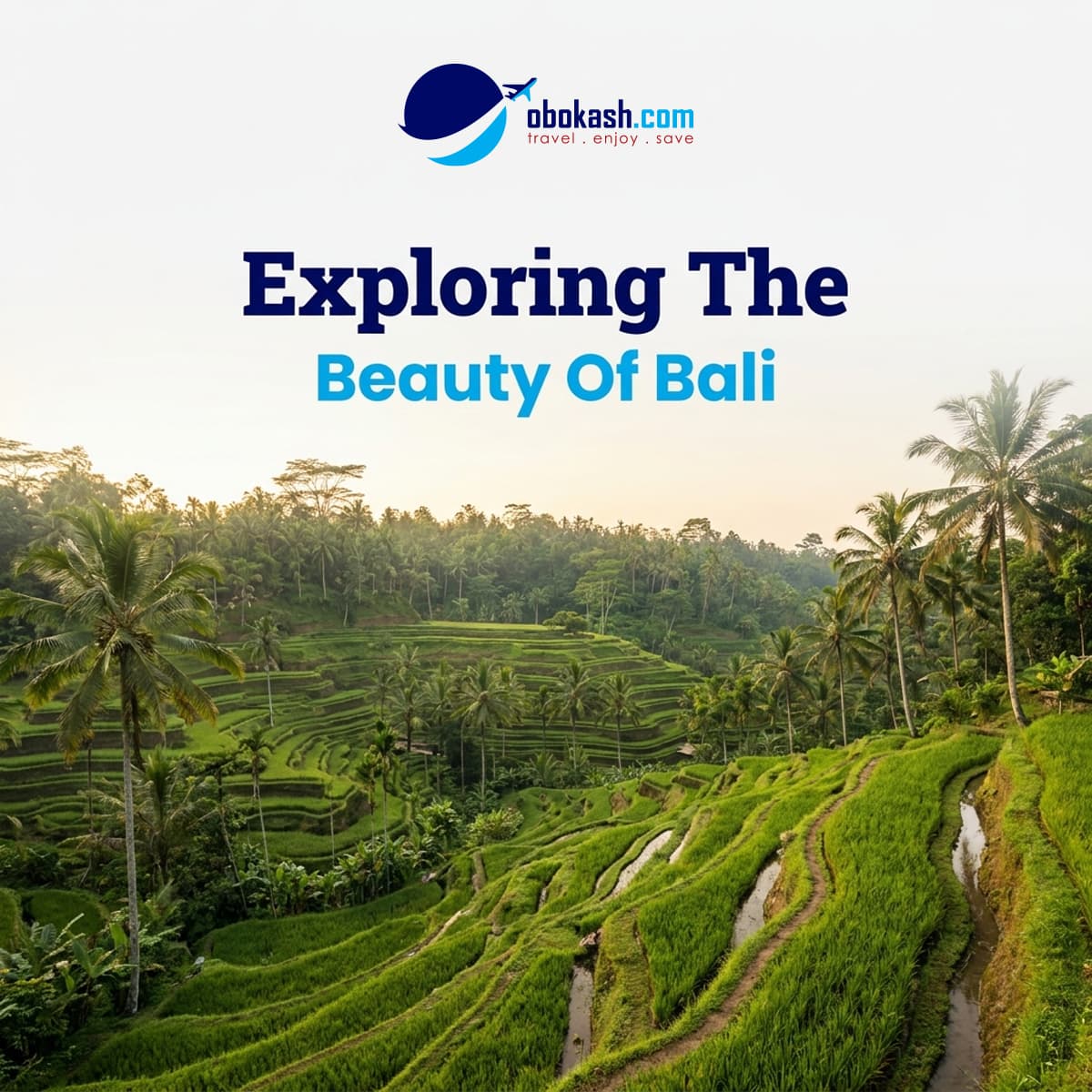 Explore the Best of Bali